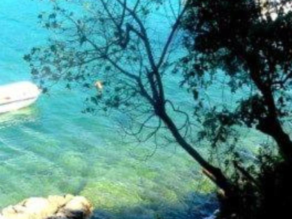 Old Istrian House,Free Parking Apartment Galizana ภายนอก รูปภาพ